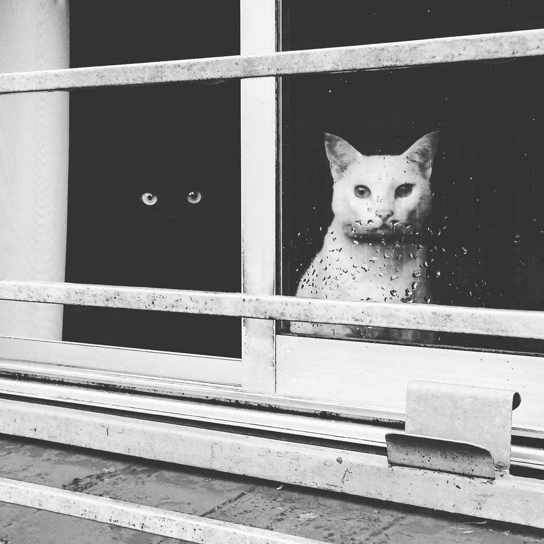 eyeonaxis's tweet photo. Life is a constant coexistence of opposites.

Photo by Flávio Franja https://t.co/qUzoryzcYb
