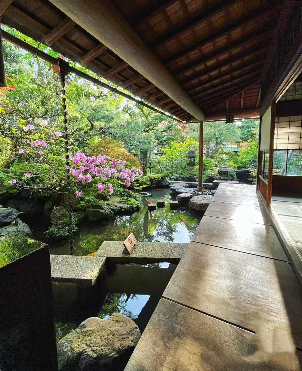 stk48764934's tweet photo. 「今日は静かに美しい日だから、汲み立てたお茶を持って遠くの冉に住む先生を訪ねる。心温まる時間を過ごせそうだ。」 https://t.co/tbID4wESM2