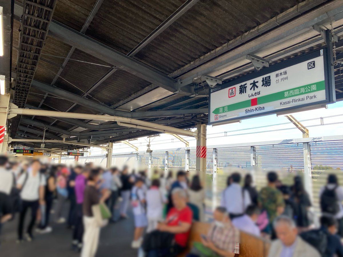 S_Stations's tweet photo. 大崎→鎌取へ移動中、埼京線で云々のためにりんかい線の新木場到着が遅れ、所定5分乗換えの京葉線快速上総一ノ宮行が1分乗換えになってしまい、みんな決死の乗換えダッシュを試みる中クソジジイが「走るなぁぁぁ！！」と絶叫して杖でブロックしてきたせいで数十人が乗り遅れたの、いまだに許していない https://t.co/myEuEywY5e