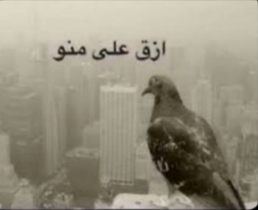 Loli12896's tweet photo. يوميات البشر: https://t.co/jTe0DyQRJl