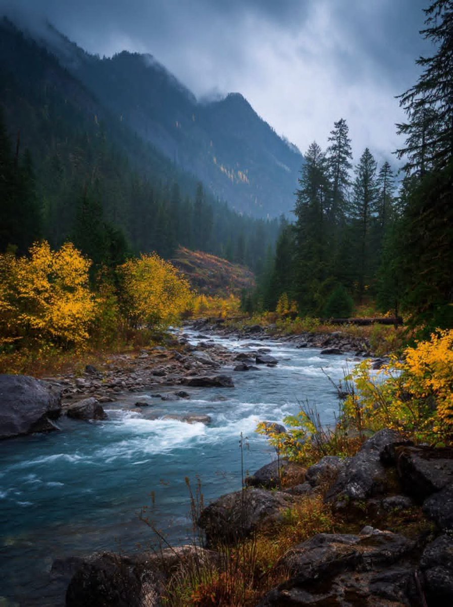 worldclick56's tweet photo. The kind of view that makes you stop for a while 🍂 https://t.co/gvyWG25hRO
