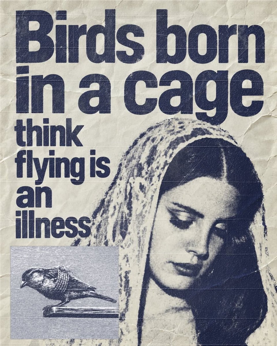 mssdonkbeni's tweet photo. And when the cage is open the bird forgot how to fly... https://t.co/lKJSjexeYS