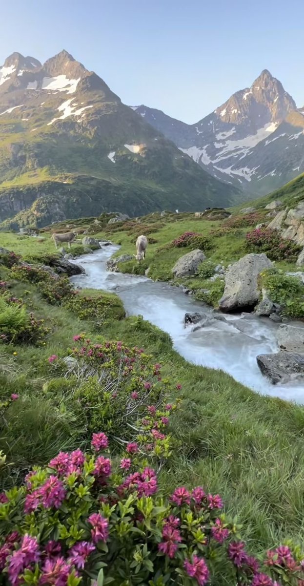NaturalWorld515's tweet photo. Switzerland Countryside 🇨🇭 https://t.co/ErzUyEQHDg