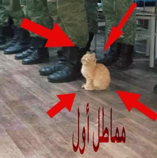 MoznGh's tweet photo. كل ما احد يطلبني شي اقول بعد الميدات https://t.co/moGR7H7Rne