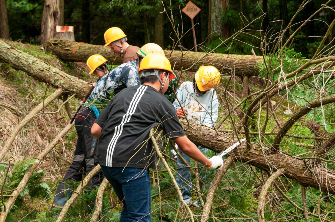 japan's tweet photo. A towel starts in the forest.🌲💧In Imabari, the city and towel industry manage forests tied to towel making water. Professionals thin trees, clear undergrowth, while association members and locals plant. Beyond the factory, the industry cares for the resources behind its craft. https://t.co/742yiahJyO