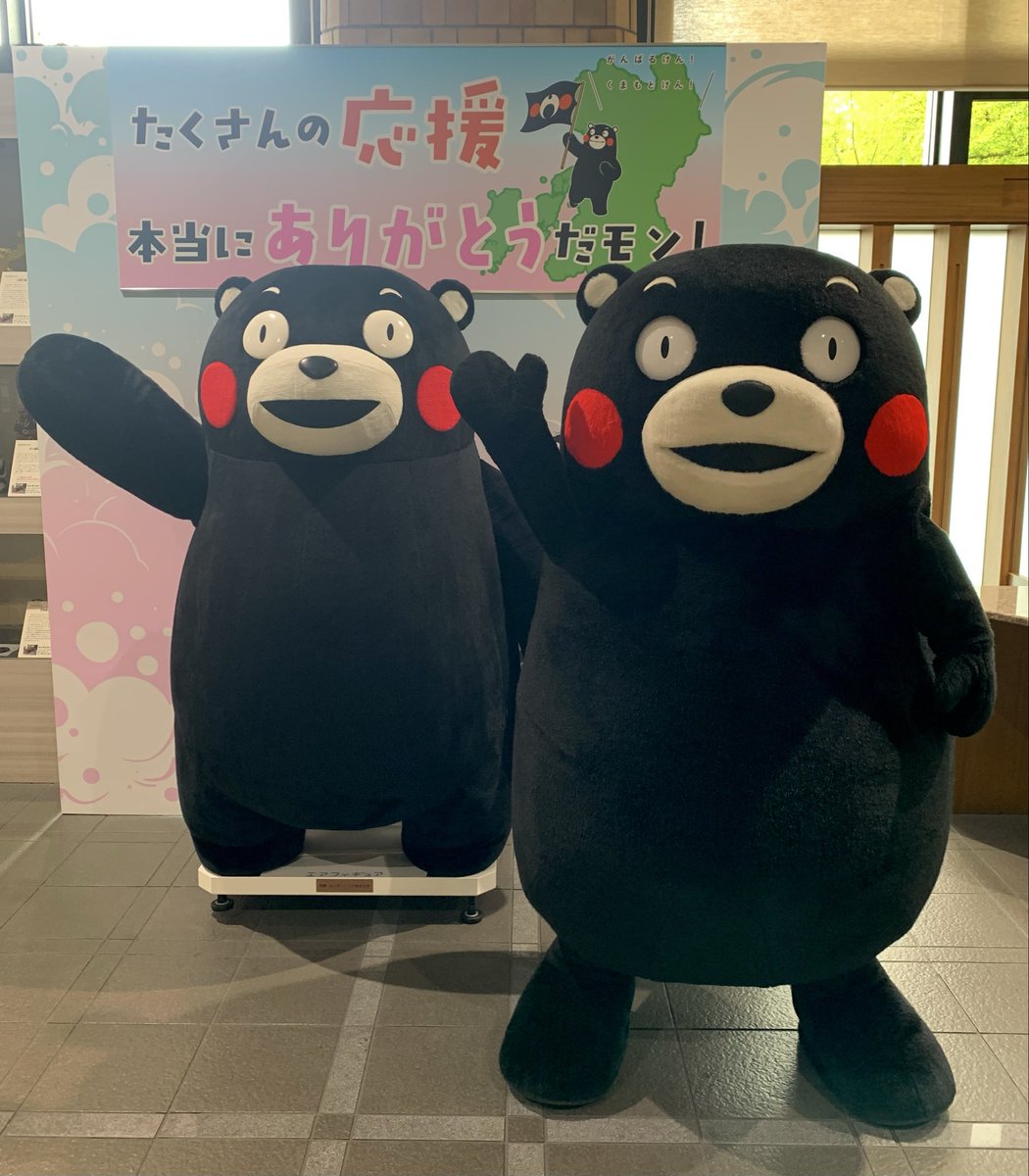 55_kumamon's tweet photo. たくさんの応援、本当にありがとうだモン！熊本県庁に来たときには、ぜひ一緒に写真ば撮ってはいよ〜☆ https://t.co/5zGYfIQe7Z
