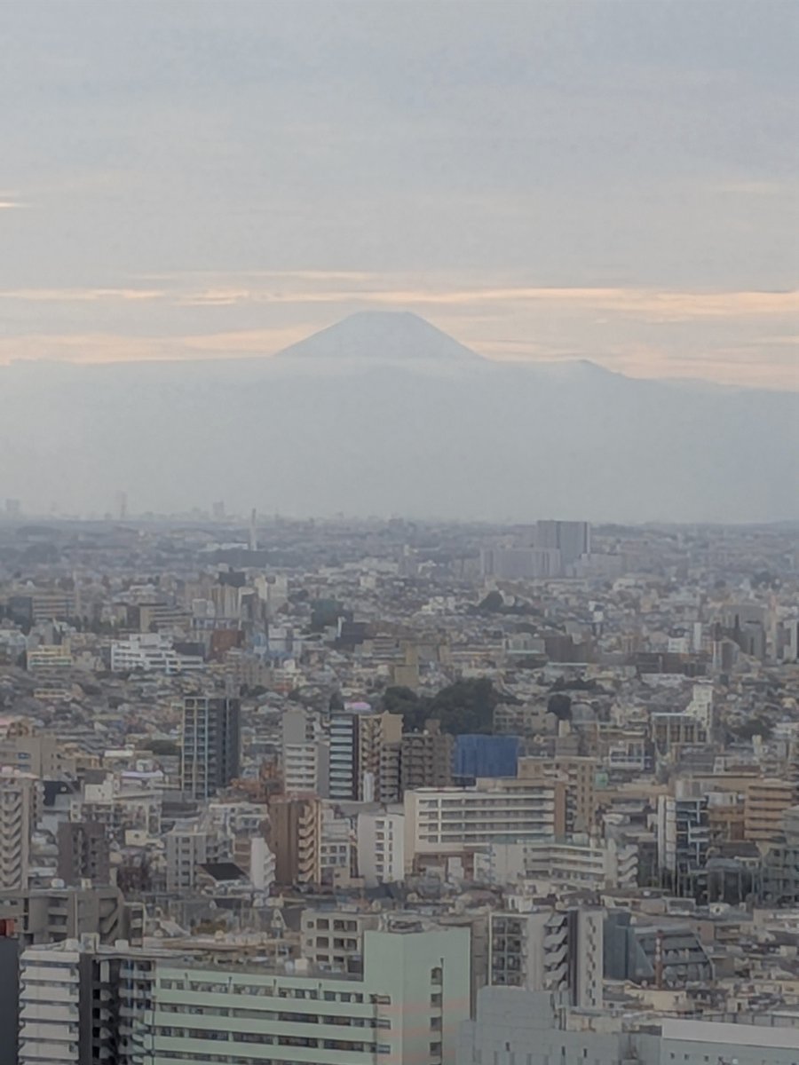 TokyoDailyPhoto tweet picture
