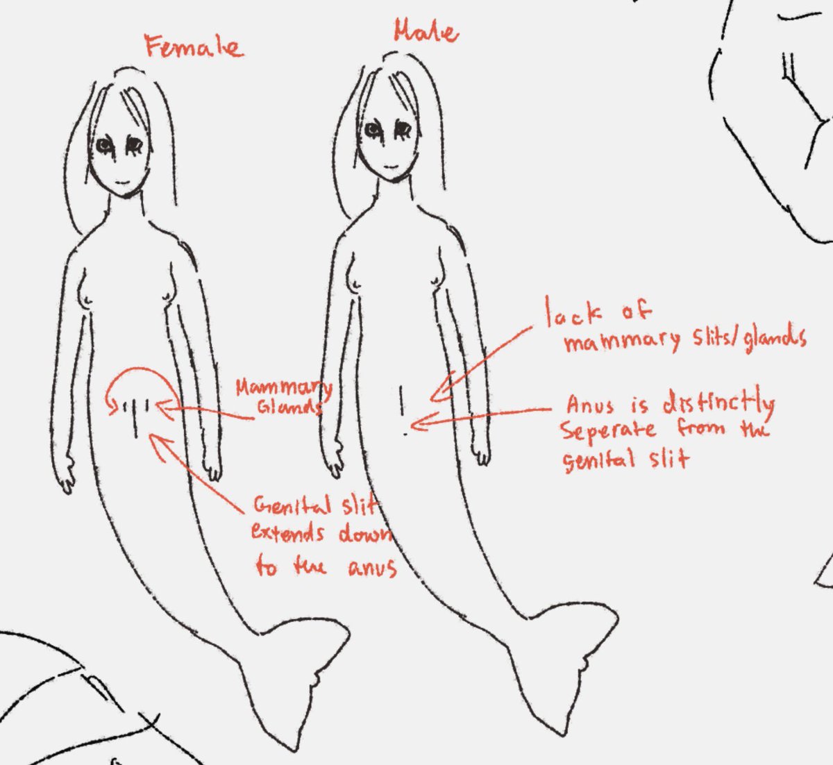Iaenss's tweet photo. Mermaids and Augustine https://t.co/iq88VMgpSK