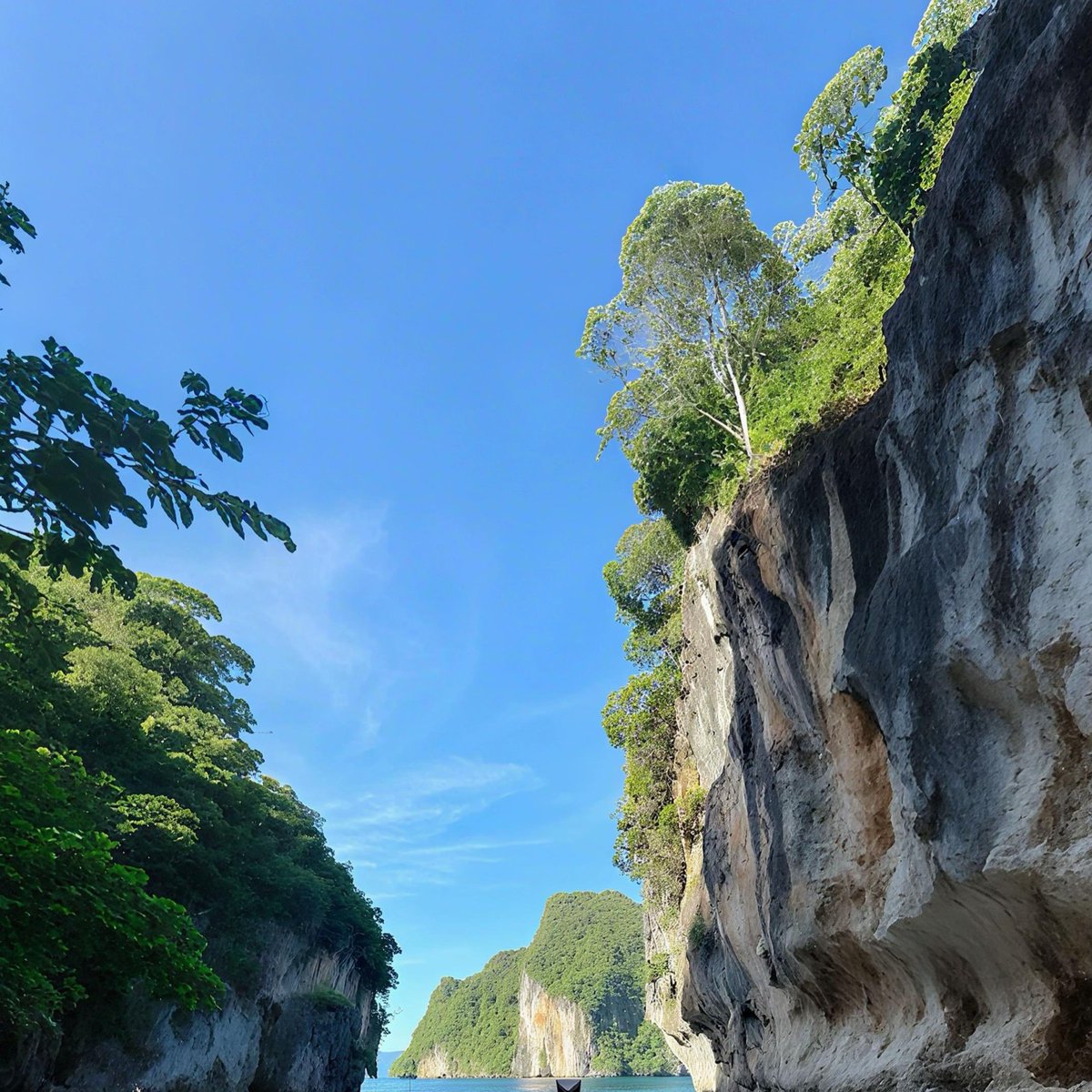 palah_muhammad's tweet photo. nature love you unconditionally https://t.co/HH6EmwwHE4