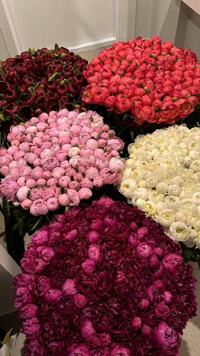 flloverland tweet picture