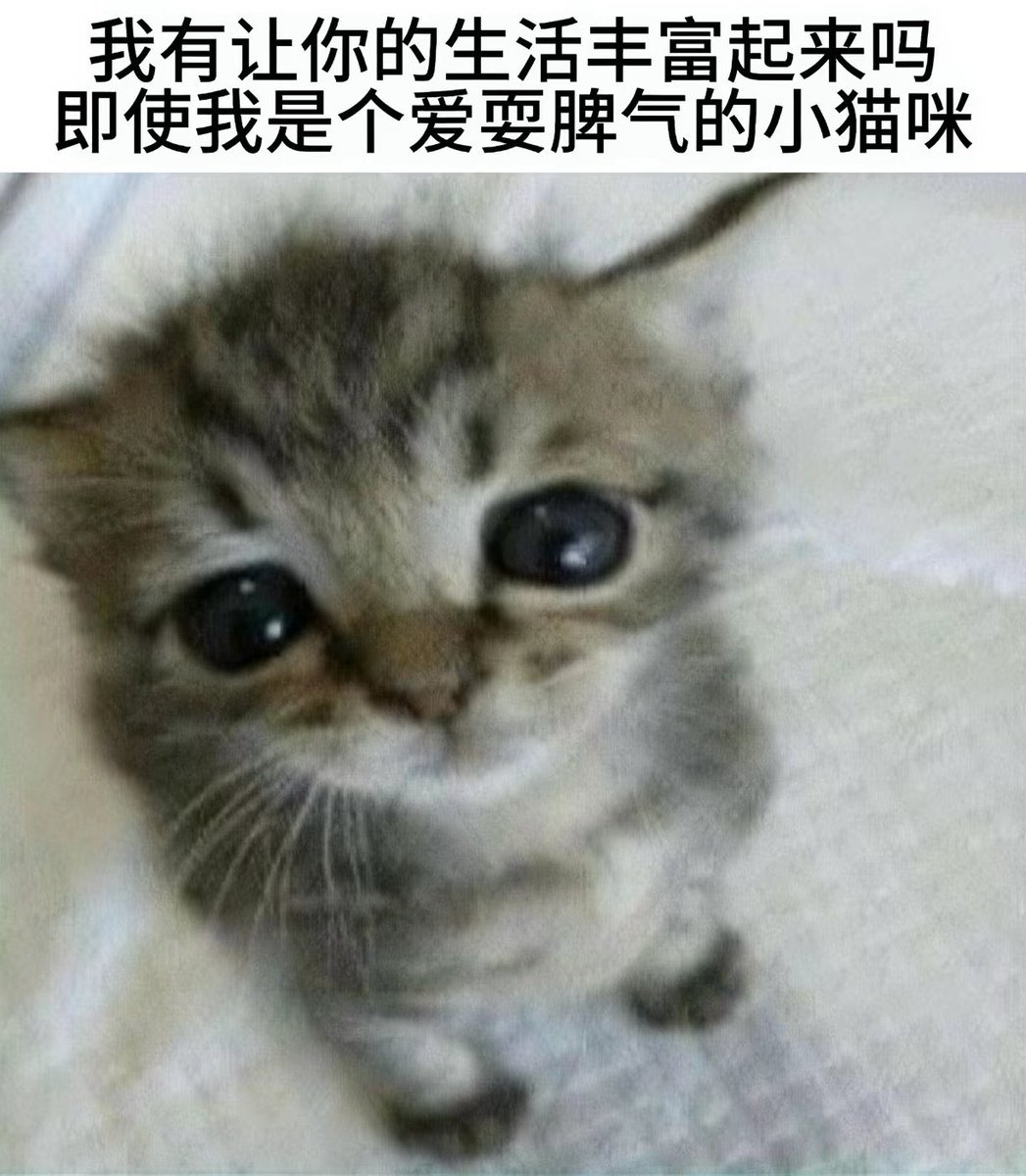 Alaia_caTvT's tweet photo. 唉…好想一直在床上躺着 https://t.co/rz5p7jmd8n