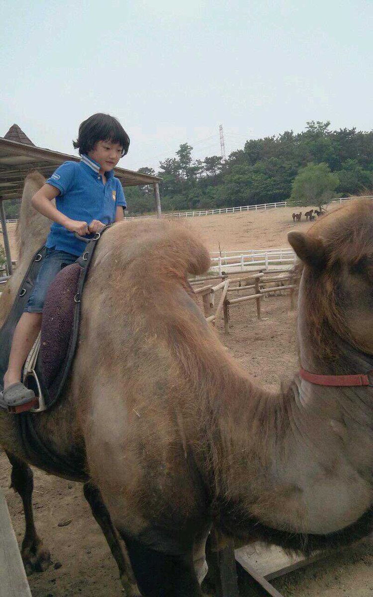 bali0907's tweet photo. @icosaec Sooooo young master 😄 https://t.co/ztVvBppjlT