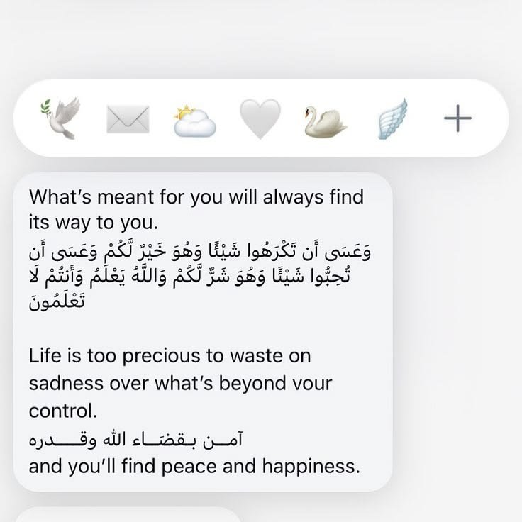 Al__Quraan's tweet photo. Daily reminder https://t.co/8D4nNSPgU8