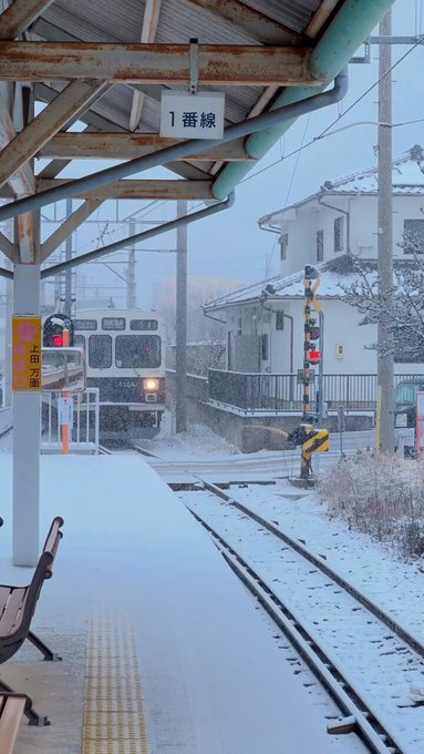 My38909779's tweet photo. 📍長野 - 日本 https://t.co/jgQCmGG0RS