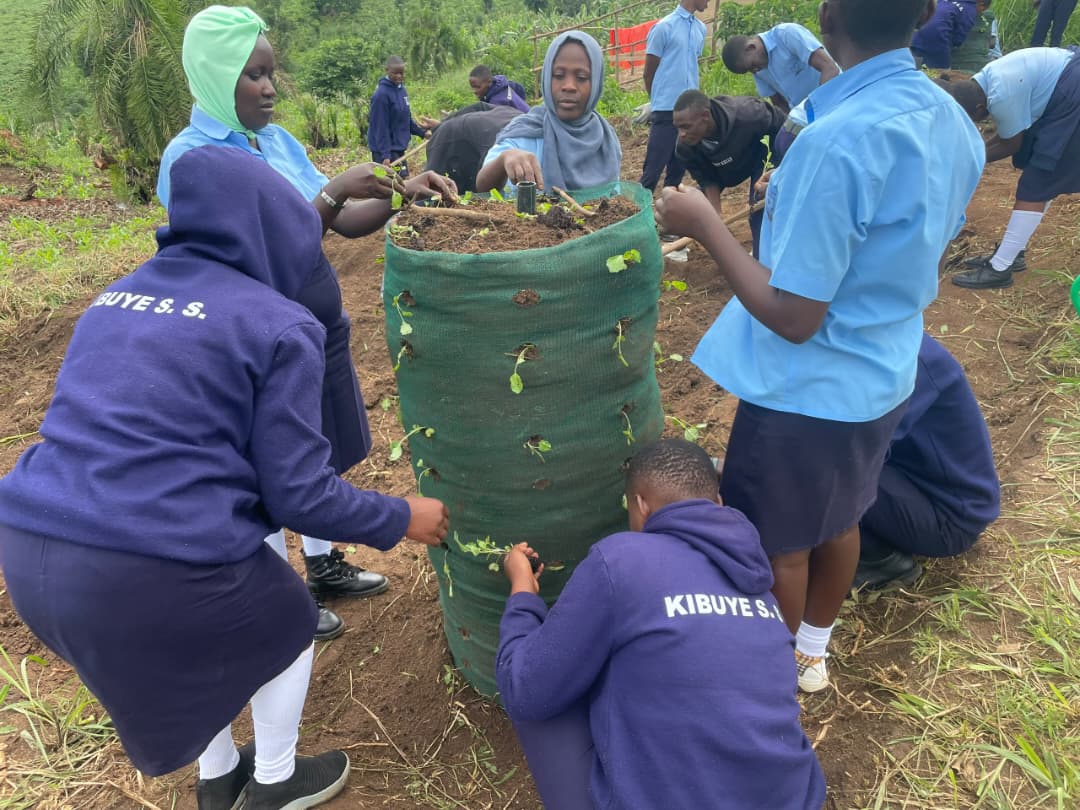 acfode's tweet photo. We are not stopping at one school! 

#ACFODE continues to share the knowledge and skills that help young people grow their own food. This time, we took our kitchen gardening initiative to Kibuye Primary School and Kibuye Secondary School.

Through their GBV Prevention Clubs, learners planted spinach, sukuma wiki, onions, cabbage and other vegetables using tower bags, showing that you don’t need a big garden to grow your own food.

By learning these skills, students can start growing vegetables at school and at home, helping their families access fresh food while caring for the environment.

A small space can still grow something valuable! Start yours today

#KitchenGardening #YouthEmpowerment #FoodSecurity #ACFODE