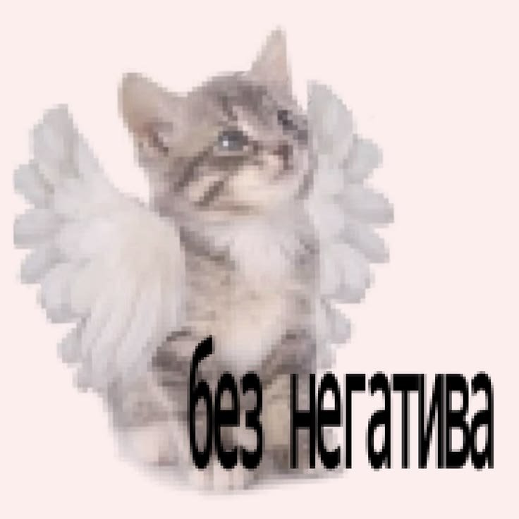 fidc1a's tweet photo. У меня скоро пробник ✌️😭
Хочу умереть https://t.co/RXJrqOu2tv