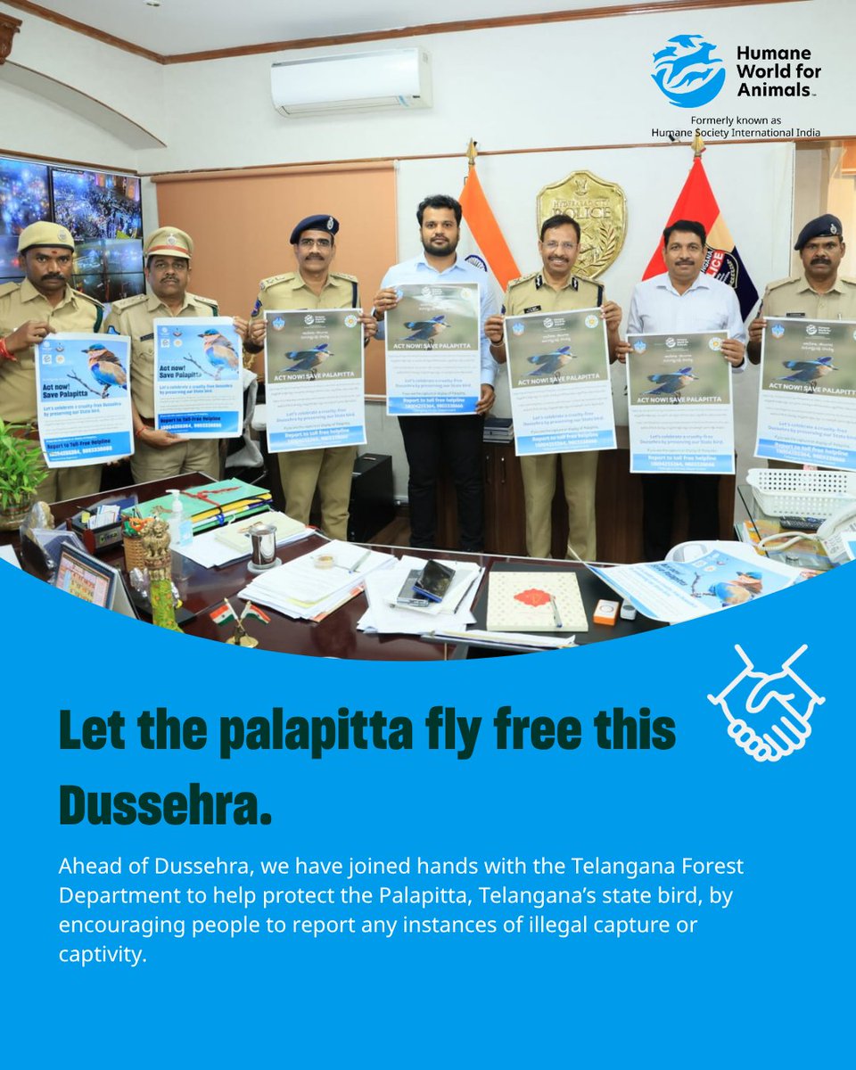 humaneworldind's tweet photo. The belief that spotting a Palapitta, Telangana’s state bird, brings good luck during Dussehra can put these birds at risk of cruel capture and confinement. With the Telangana Forest Deptartment, we’re urging people to report the illegal capture of the Palapitta.
@HarithaHaram https://t.co/l7hEv1OBfV
