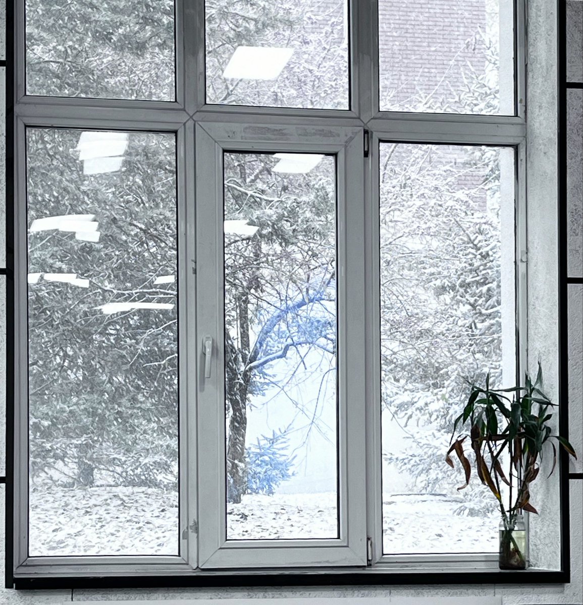 WangLJxi's tweet photo. 第一场雪❄️(ˆ◡ˆ)っ❄️冻死我了 https://t.co/bWqhzm8UNc