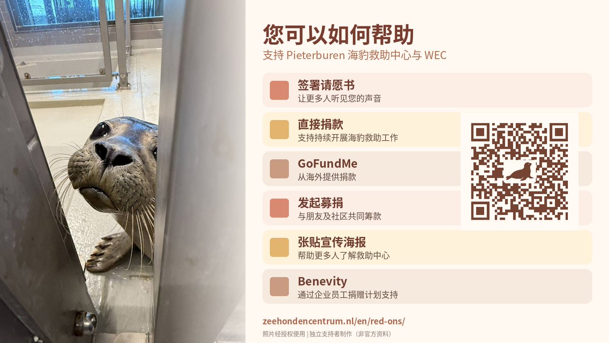 zip333's tweet photo. 🦭❤️ 支持荷兰 Pieterburen 海豹救助中心，不只有签署请愿书这一种方式。
您还可以捐款、组织募捐活动，或张贴宣传海报，让更多人了解救助中心的处境。
每一份支持都很重要。感谢您的帮助！
https://t.co/RoLIn2kEke https://t.co/FNots2JFRV