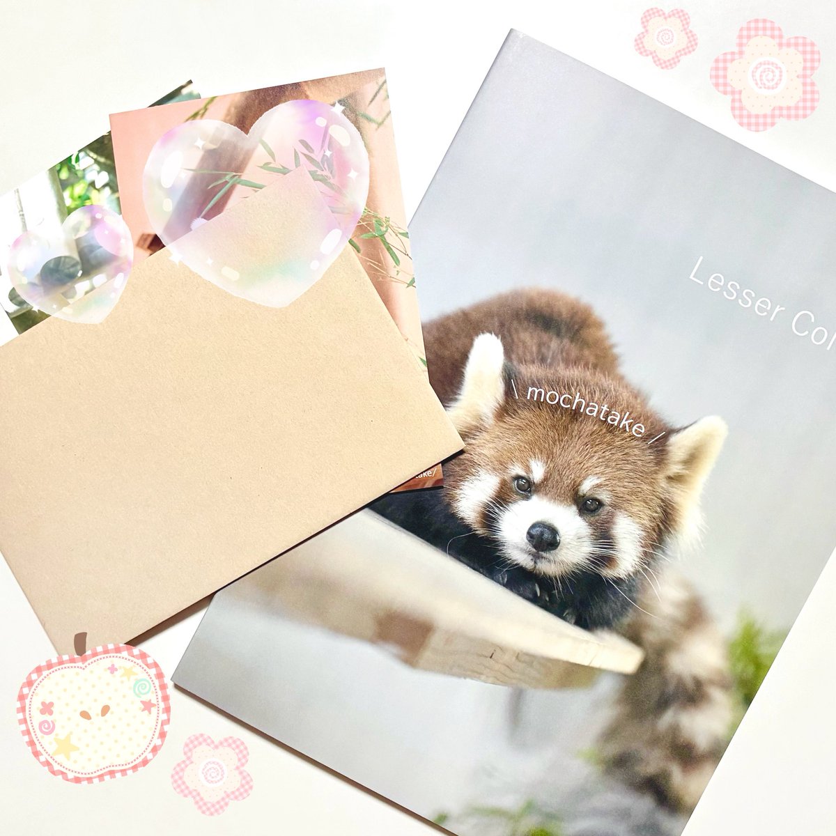 27ninanoka's tweet photo. 通販で購入したmochatake(@mochatake105)さんの写真集が届きました🥰これまでとはまた違った雰囲気で、キャプションまでおしゃれで感動🥹ポストカードがまた…大好きな可愛いこちゃんだったのでとても嬉しい😢💖今回も素敵な作品をありがとうございました✨
#LesserColor
#レッサーパンダ #写真集 https://t.co/dEaASnAgE7