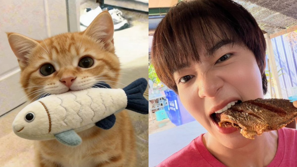 wnpomma's tweet photo. โปรดระวังปลาทุกตุวในกองเพราะมีเเง้ว 😼🐠💘

HUG E LHEE Q10
#มนต์รักฮักอีหลีQ10
#NuNew @CwrNew https://t.co/Kqd4Itx9TW