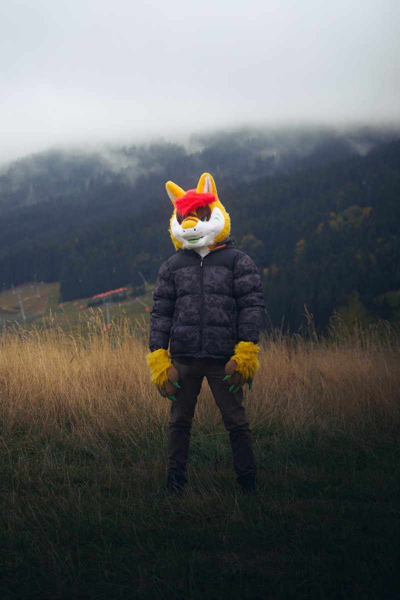 FlaviusFepu's tweet photo. Mountain shork.

📸: @Wikrex 

#furry #fursuit https://t.co/LtqaAQE2kv