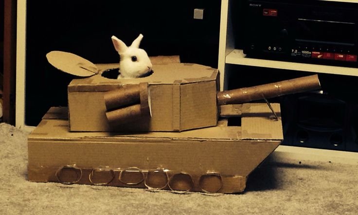andrwgraves's tweet photo. @InvalidPhailure Yes, something like that . . 

I dislike them. This is me now. Wars are common in humans; it's time rabbits copy them, to completely exterminate the human race. https://t.co/yfYi6TrkqW
