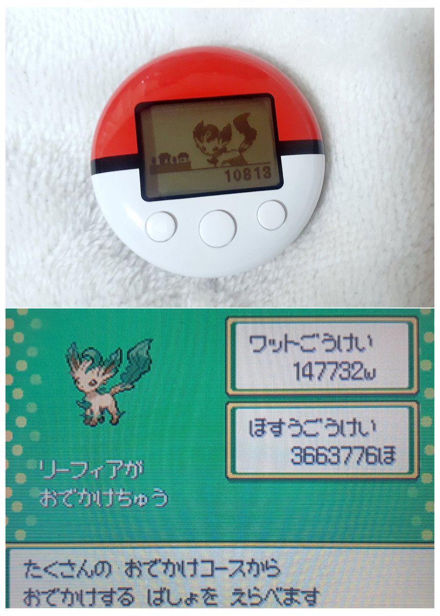 saeleafeon0618's tweet photo. 久々のポケウォーカー リーフィアの進捗🌿
いつの間にやら、ほぼお出かけだけでLv.20→76に成長している…

技構成が "バトルは全くしないけど、一緒に仲良く暮らしているパートナーポケモン" って感じで良いですね👀✨
手助けしてくれるの可愛い🥰

歩数カンストは遠すぎる！！ https://t.co/ZJWmr04nGw
