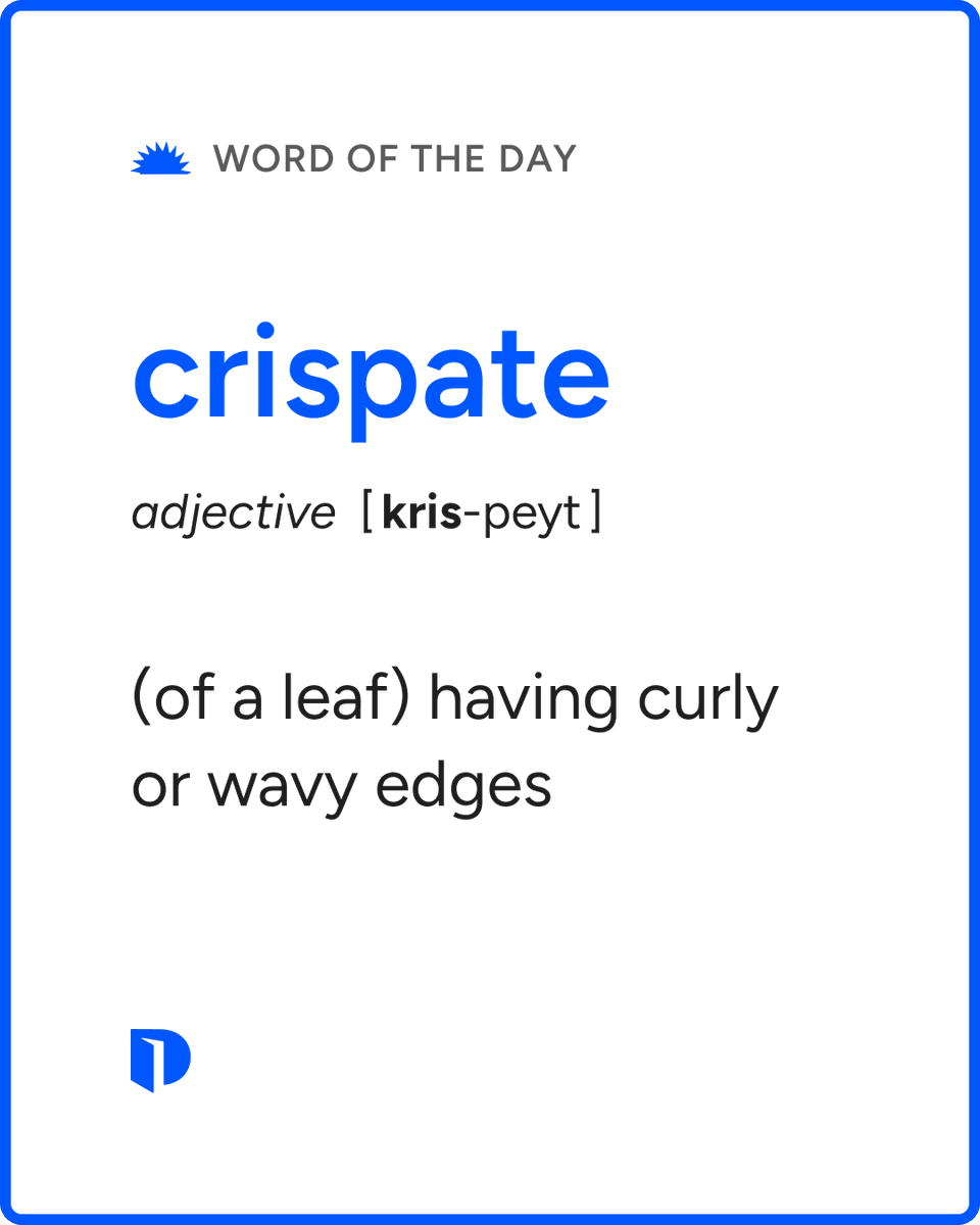 Dictionarycom's tweet photo. Today's #WordOfTheDay is crispate. 

Learn more about this word: https://t.co/JGxtcXBj4P https://t.co/5KLFXzT0qh