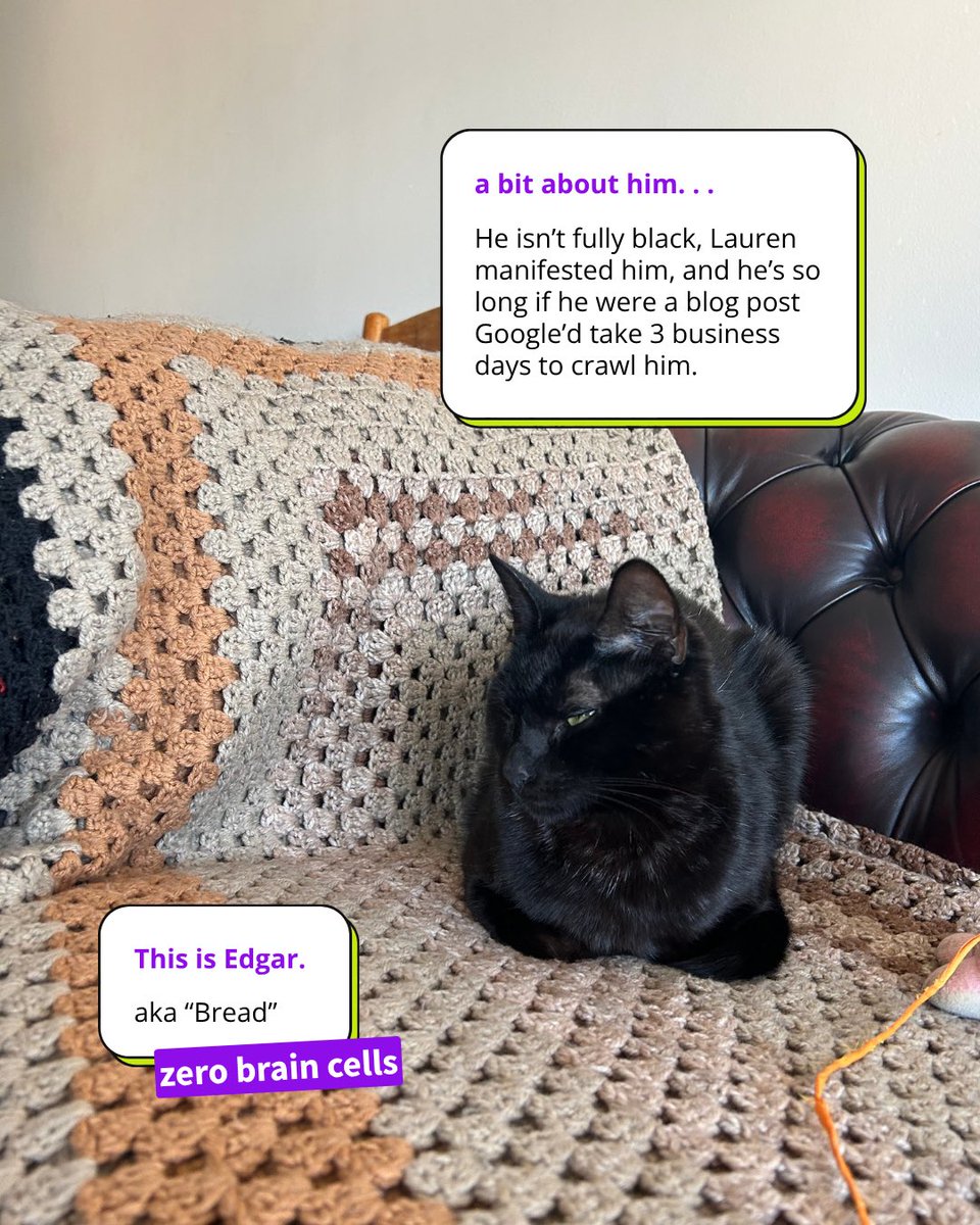 optimisedaf's tweet photo. Somehow, this is the team. Two humans who do the SEO, and three cats who provide morally questionable support by demanding attention and knocking things off desks. It’s a delicate ecosystem. 🙂‍↕️ https://t.co/xuYQPLkjbQ