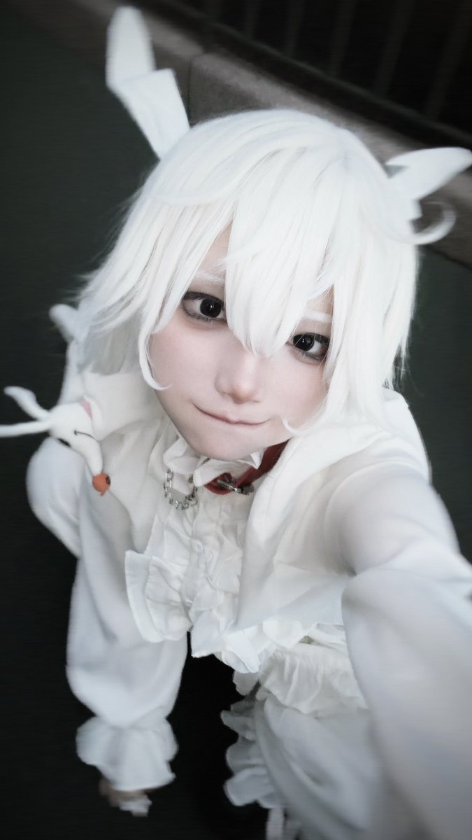 shi0o_K's tweet photo. 布！ひらひら！いっぱいのゼロ！
あのジャック様の愛犬だから
高貴なわんちゃんらしく
フリルいっぱいで表現したんだ🐶🤍 

#Dハロ仮装2026 #Dハロ仮装 https://t.co/VpmYPkayJc
