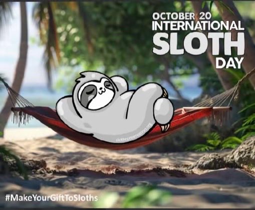 PipsMiniTwee's tweet photo. Happy International Sloth 🦥 Day 🫶

#Slothtober #InternationalSlothDay
#SlothsWildAndFree

@SlothCon https://t.co/zQpGxoCA3Q