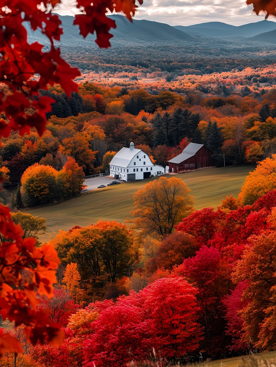 DailygratitudeQ's tweet photo. Thank you the Universe for another faithful morning. Thank you for the provisions and comfort. Thank you for the guidance and support. Thank you for the creativity and inspirations. Thank you for the focus and confidence. Thank you for a miraculous day ahead of me. Thank you. https://t.co/moQxJuMzUJ
