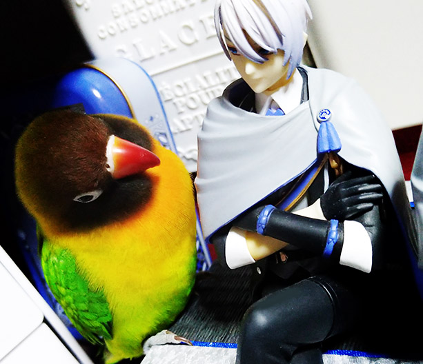 yuiga_s's tweet photo. もしかして皆、ボタンインコ好きだな？
刀剣男士も好きだけどボタンインコも好きだろう？
ちなみにこちらのボタンは先代。
撮影してると長義の横に行って一緒に写る子でした。

ちなみにアクスタやねんどろやドールとかの撮影、私的には「ズームをしながら寄るのが何となく正解」な気もする。 https://t.co/jCXy29ggqp
