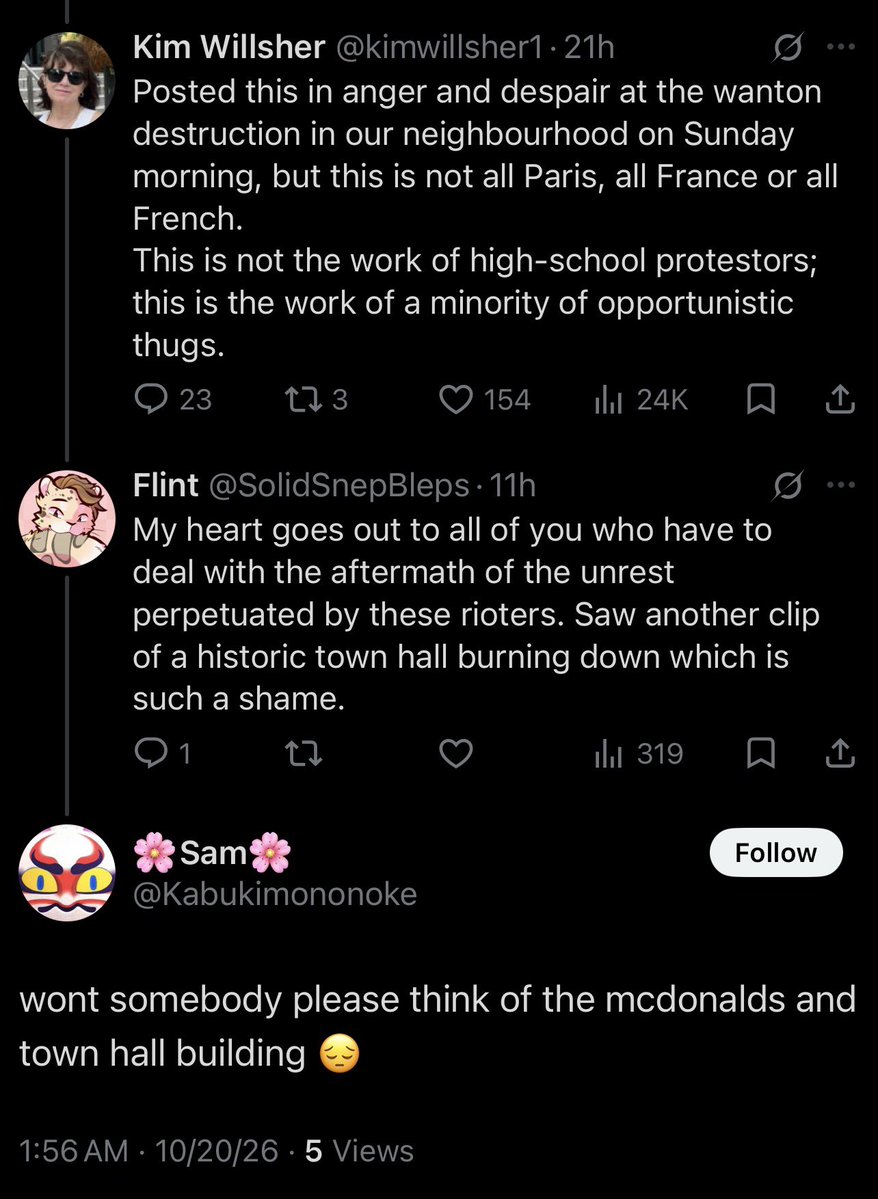 SolidSnepBleps's tweet photo. @kimwillsher1 Kinda hilarious, had someone respond and immediately block me for showing sympathy to all the innocent, upstanding residents of Paris having their streets turned upside down by thugs. I’d say I’m surprised but a coward is all they are. https://t.co/pVT6Sp7ZA4