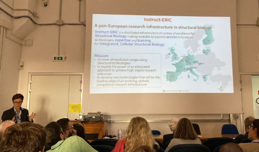 cerm_cirmmp's tweet photo. We are opening the #StructuralBiology Meeting with an introduction to @instructhub  by Lucia Banci, followed by the first scientific talk of the day by Beatrice Vallone: “Structural dynamics of HER3 paves the way to mechanism-based drug design.” https://t.co/rjIGYtcESd