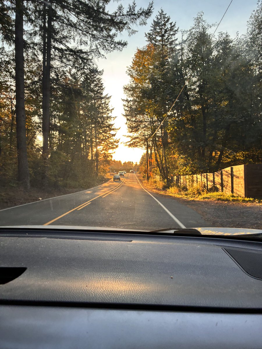 Sploingus45's tweet photo. drive home ^w^ the beast like beauty of the sun contradicts its pureness, complemented by a staggering row of trees that keep reaching closer to the beast no matter what—as pavements draw apart roots we notice division is in our modern bureaucratic nature. Equivocal in its on way https://t.co/xvNafIzCmk
