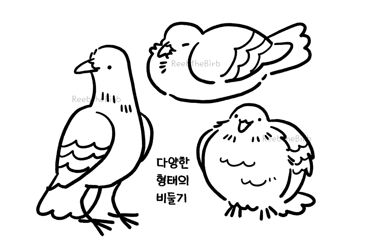 drawing_parrot's tweet photo. 그냥 비둘기 낙서
저는 털찐둘기가 좋아요 https://t.co/7OuS2tXa6m