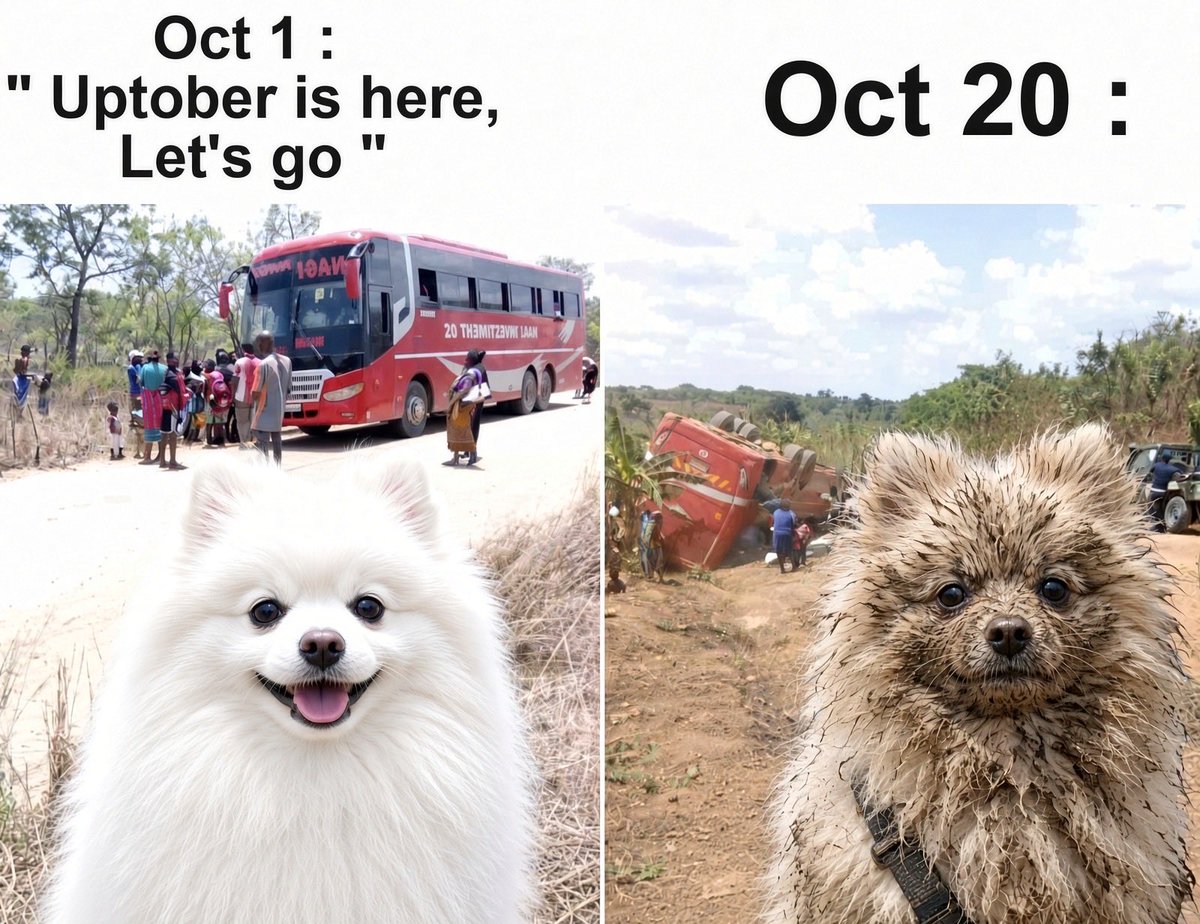 Ginathepom's tweet photo. Oct 1:
“Uptober is here, let’s go 🚀”

Oct 18:
“Bro… why is my portfolio looking like this”
The Pomeranian is still holding. https://t.co/dsiWjM25uv