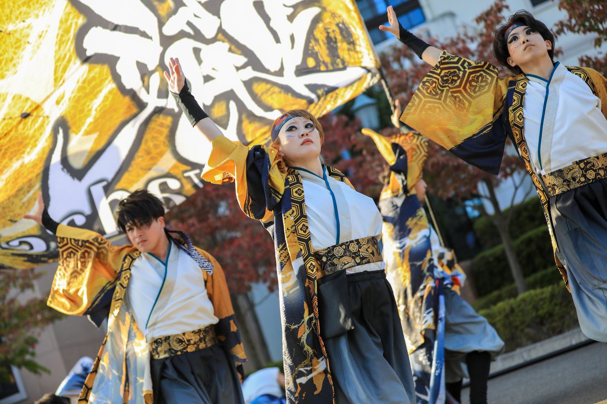GIFT89953706's tweet photo. @yosakoi_wadachi #福島学院大学
#のぎく祭
#轍wadachi
🎶閃ノ刻③ https://t.co/o9d7JUfQAL
