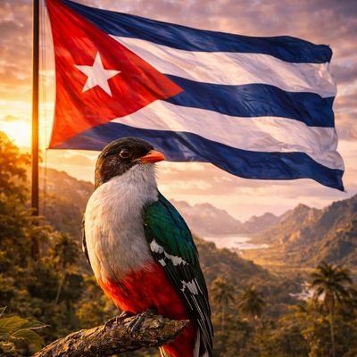 AliosmiM63605's tweet photo. Mi #Cuba huele a tierra mojada, suena a son y sabe a caña. Celebramos hoy lo que nos une y nos hace únicos: nuestra cultura. ¡Felicidades, cubanos! #DíaDeLaCulturaCubana https://t.co/7YSDg0ZFO1