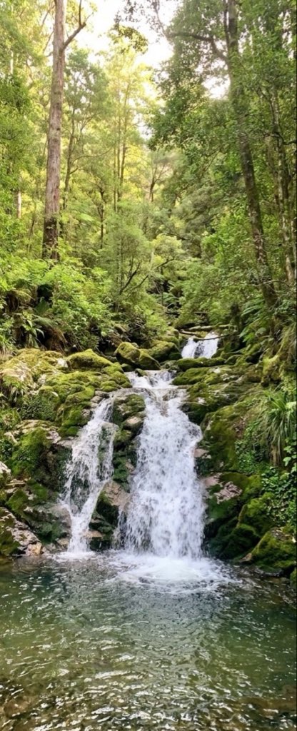 earthcurated's tweet photo. The beauty of waterfalls. https://t.co/mPvaxKw6EC