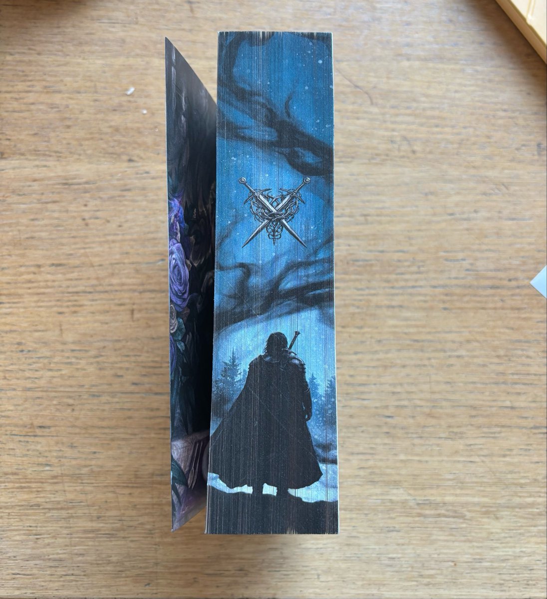 javertderailed's tweet photo. came across this at the bookstore and i was really intrigued by the design and the premise so… goodbye book buying ban 😭 https://t.co/Ode2xv0gLp