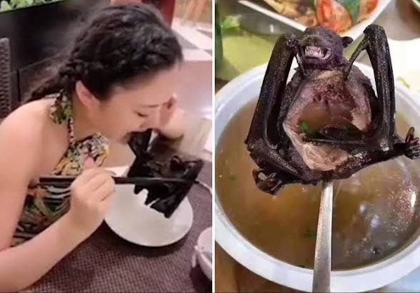 Rudrram61468's tweet photo. @ShaunWukong @136Amitabha It's laughable when Low IQ chinki virus 🦠 teach you how to be hygiene China is a hell hole place for all living beings https://t.co/ZOJtpi82e5