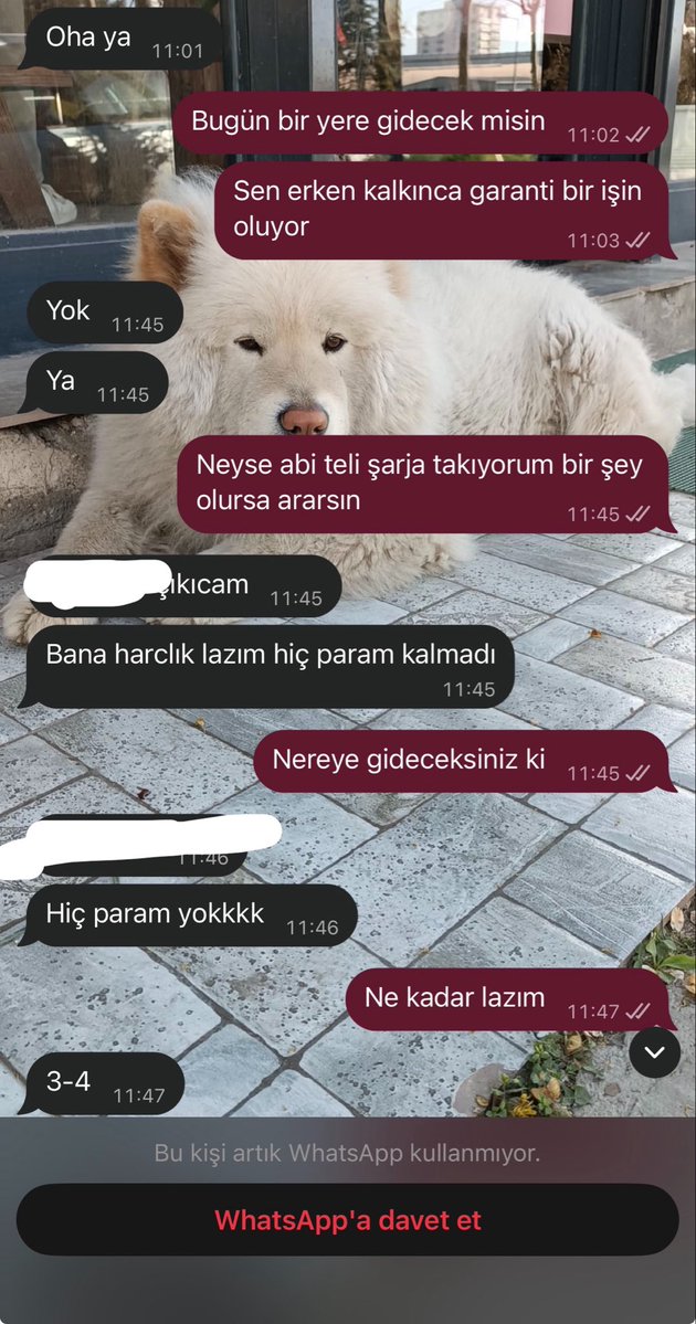 Snafudogu's tweet photo. @Jhm8lby @falihrfk1 Aynen knk sen kendin istiyordun aq https://t.co/ReIC6MB09q