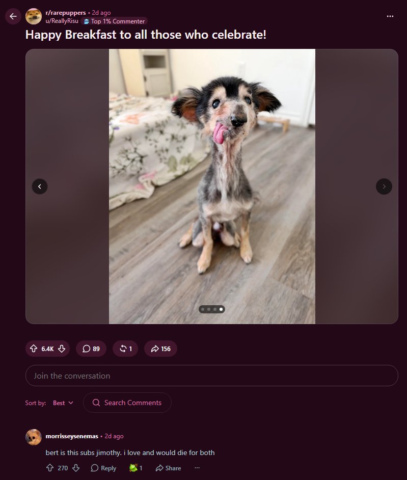 Zeeko__Dev's tweet photo. PEOPLE ARE CLASSING THIS DOG THE JIMOTHY OF REDDIT!!! 🤣🤣🤣

This dog named "Bert" is probably the ugliest chud dog the trenchers has ever seen🤣

Top comments are pretty much comparing him to Jimothy "bert is this subs jimothy. i love and would die for both"

Just look at his fucking face 🤣🤣

People cry about returning to memes? Heres the PERFECT dog meme for us to send 

https://t.co/YZeRatwzSv