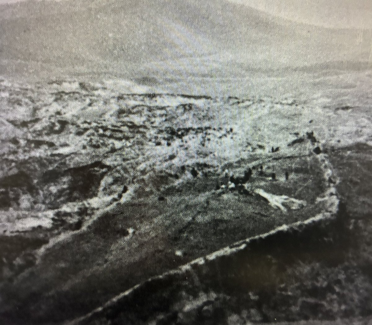 NoTillBill's tweet photo. Check out this shocking photo by #CollinsAndFasold1996 to prove that the #Durupinar site is a rock syncline. I have never read a more #junkscience paper. All the tricks in the book were used to put folks off the scent of what is most likely the real #NoahsArk @noahsarkscans https://t.co/nbDdiKK7C1