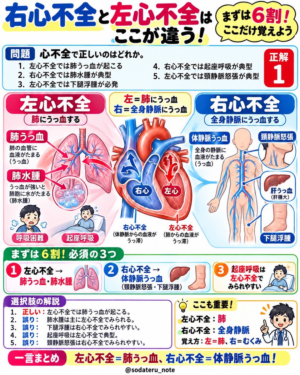 sodateru_note tweet picture