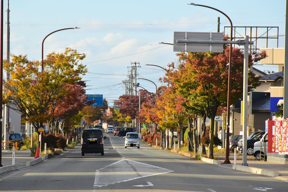 44982441shimu's tweet photo. 秋田市外旭川、天徳寺通りの
けやきとイチョウの紅葉 https://t.co/NpgOR4hXwf