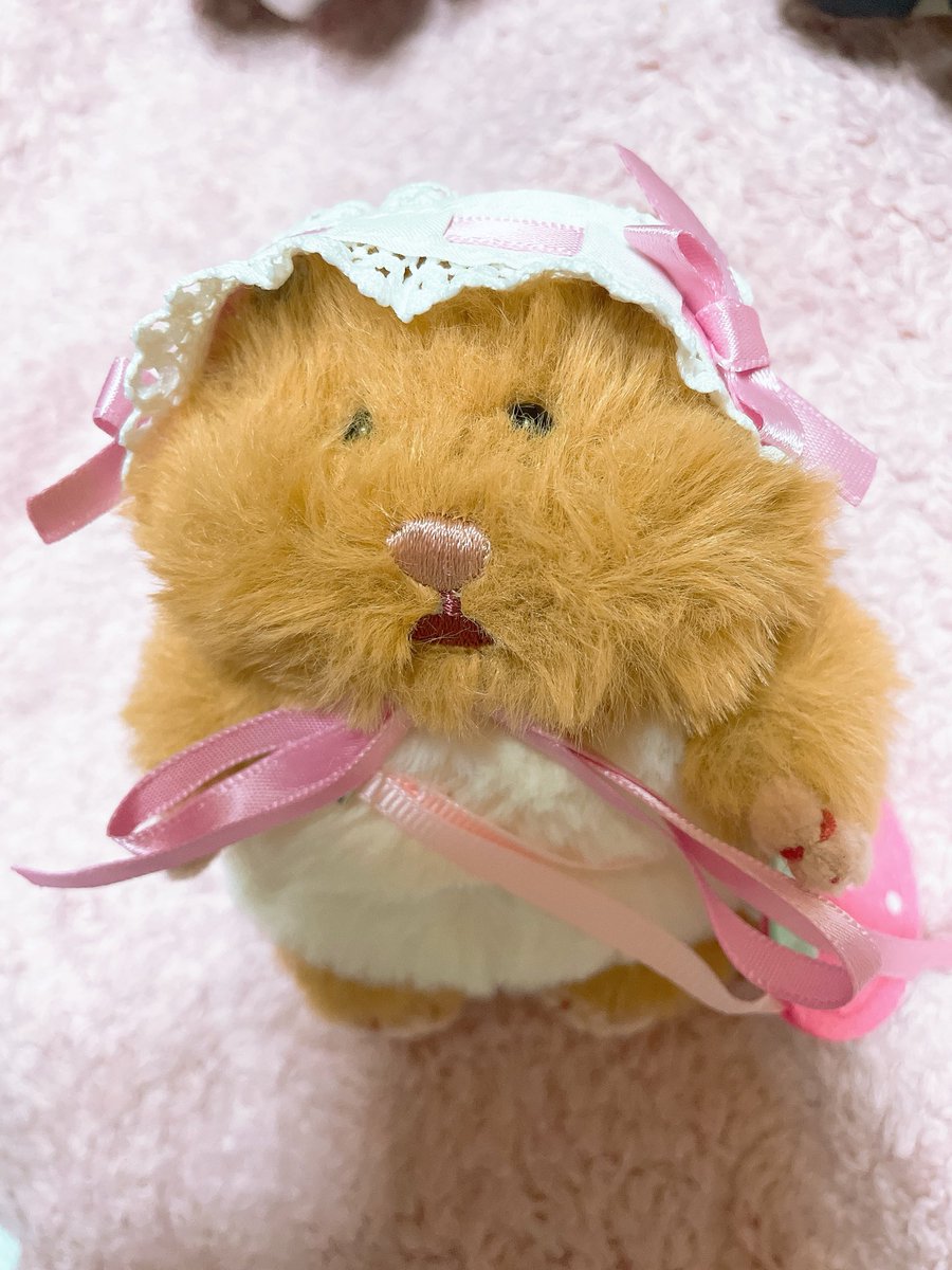OjnR70187's tweet photo. 今流行りのハムニギリちゃん
ついに我が家に🩷

トリミングチョキチョキして、可愛くおめかししてみたよ🐹

ロリータハムちゃん🎀

#はむにぎり　#ぬい活　#推し活 https://t.co/Q48tagyGwq